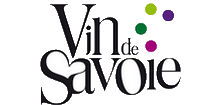 Logo CIVS - © CIVS