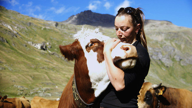 Film de campagne - Dans les alpages de Tarentaise - 