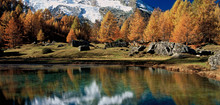 Le Mont Pourri vu depuis le Monal - © Savoie Mont Blanc / Anglade