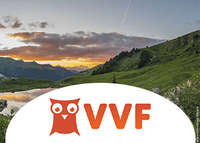 VVF